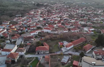 Ο νεότερος πεταλωτής στην Ελλάδα μιλά για το επάγγελμα