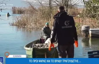 Όπου υπάρχει Ελλάδα, Screenshot