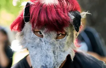 Έφηβοι στην Αργεντινή, συμπεριφέρονται σαν ζώα- Το φαινόμενο «therian»