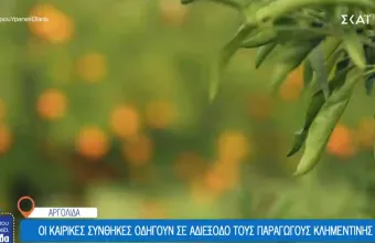Αργολίδα