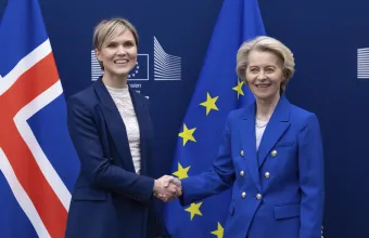 Politico: Η Ισλανδία στοχεύει στην επιτάχυνση του δημοψηφίσματος για ένταξη στην ΕΕ