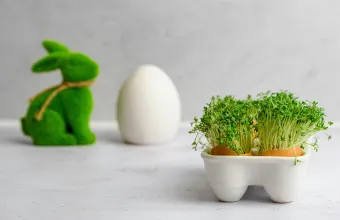 Νηστεία Σαρακοστής