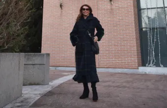 Μιμή Ντενίση προξενιό