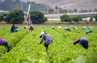 μετανάστες εργάτες γης