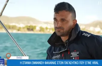 Φάλαινα 