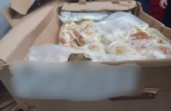 Κρέας 