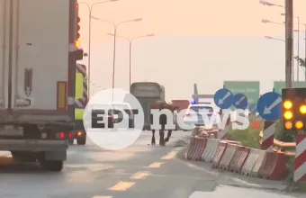 Αγελάδα 