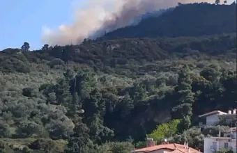 Φωτιά στην Αχαΐα