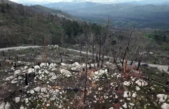 Ρόδος: Οι άνθρωποι που διέσωσαν τουρίστες και έσβηναν τις φλόγες