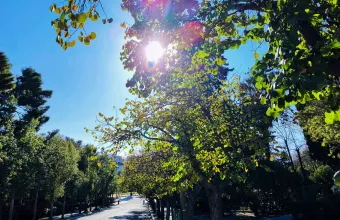 Καιρός 