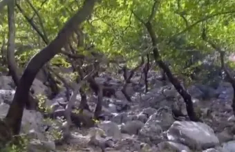 Το εντυπωσιακό φαράγγι της Αγάλης και οι παγίδες για τους πεζοπόρους