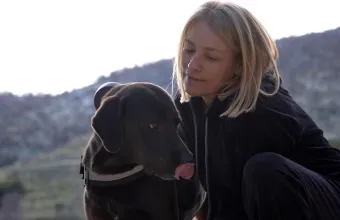 Pet Stories