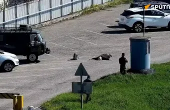 Ρωσία 