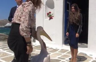 Κίμπερλι Γκίλφοϊλ