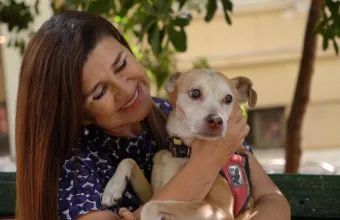 Pet Stories