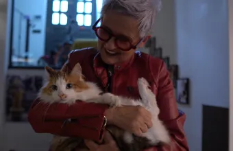 Pet Stories