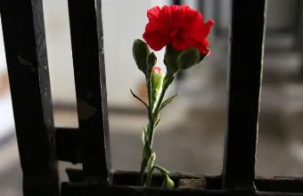πρωτομαγιά
