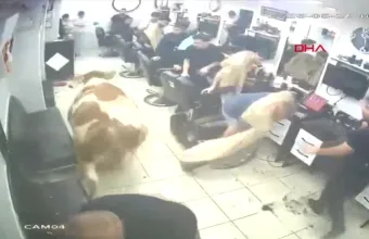 Ταύρος