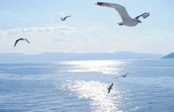 Θάλασσα