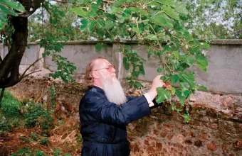 Οικουμενικός Πατριάρχης 