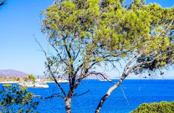 Καιρός 