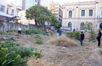 Καθαρισμός οικοπέδου 