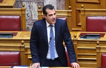 Θάνος Πλεύρης 