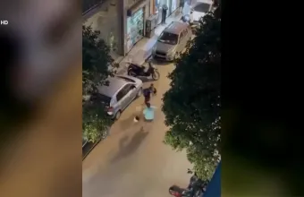 οδηγοί