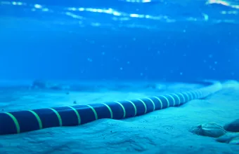 Submarine Cable