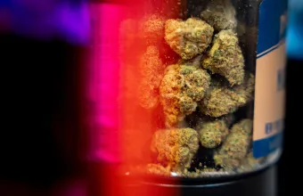 Skunk
