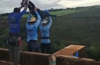 bungee jumping