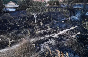 Αλγερία