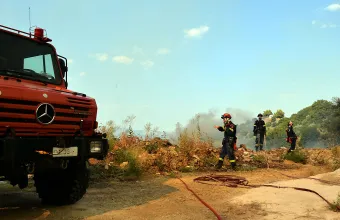 Πυρκαγιά στα Οινόφυτα Βοιωτίας