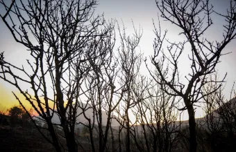 Σε κατάσταση έκτακτης ανάγκης ο δήμος Αγίου Βασιλείου στο Ρέθυμνο