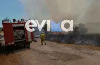 Φωτιά Εύβοια