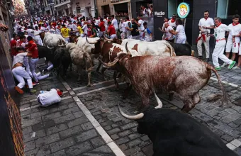 Ισπανία: Ταύρος κάρφωσε δρομέα στο πρόσωπο.  Πανικός στην Παμπλόνα