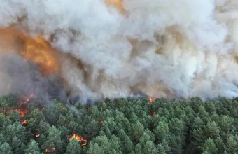 Γαλλία: Μεγάλη πυρκαγιά στο δάσος Φοντενεμπλό – Εκκενώσεις οικισμών κοντά στο Παρίσι