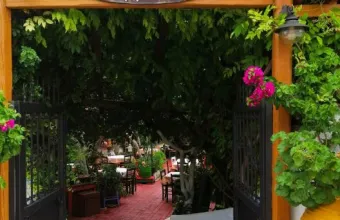 Το περιβόλι της Γωγώς: Για σπιτικό φαγητό πριν το θέατρο στην Επίδαυρο