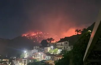 Πλωμάρι
