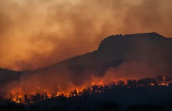 Φωτιά Πορτογαλία