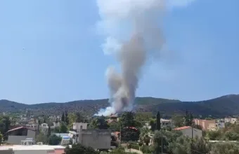 Σαλαμίνα