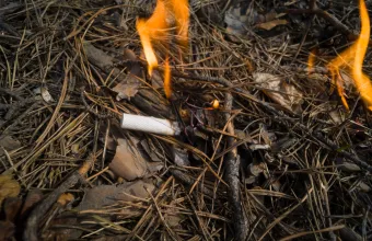 Πυροσβεστική: «Τσουχτερά» πρόστιμα για απόρριψη τσιγάρων που προκάλεσαν πυρκαγιές σε Σέρρες και Θεσπρωτία