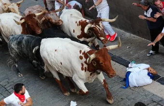 Ταυροδρομίες 