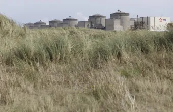 Γαλλία: Εισβολή μεδουσών έθεσε εκτός λειτουργίας αντιδραστήρες πυρηνικού σταθμού