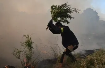 Ενημέρωση των πληγέντων αγροτών από την πυρκαγιά στη Σίβηρη για τις αποζημιώσεις