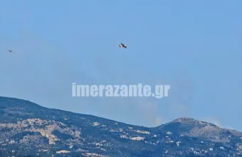 Φωτιά στις Βολίμες