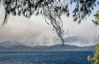 Ξεκίνησαν οι αυτοψίες στις πληγείσες περιοχές από την πυρκαγιά στο Σκάλωμα Φωκίδας