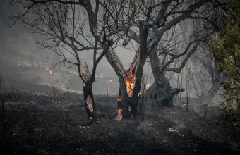 Συλλήψεις τριών ατόμων για τις πυρκαγιές σε Λέσβο και Κορινθία