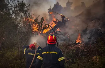 Φωτιά Σίβηρη Χαλκιδικής: Κατέθεσαν διευθυντής κι υπεύθυνος εκμετάλλευσης ΔΕΔΔΗΕ