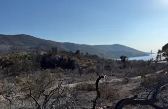 Meteo: Η απώλεια δασικής βλάστησης αυξάνει τις θερμοκρασίες - Δορυφορικά δεδομένα από το Πόρτο Γερμενό
